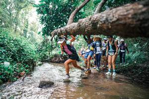 BIB: 
                            <button type="button" onclick="openModal(25370450)" class="btn btn-primary btn-sm float-right btn-popup" data-toggle="modal" data-target=".modal-high-quality">
                        <i class="fas fa-shopping-cart"></i> Add to Cart
                    </button>
                                            <button type="button" onclick="isThisMe(25370450, true)" class="btn btn-success btn-sm float-right btn-popup btn-isme hidden" data-toggle="tooltip" data-placement="bottom" title="นี่คือรูปของคุณใช่ไหม คลิกที่นี่เพื่อเอาเข้าอัลบั้ม">
                        <i class="fas fa-plus"></i> Add to album
                    </button>
                    <button type="button" onclick="isThisMe(25370450, false)" class="btn btn-warning btn-sm float-right btn-popup btn-isnotme hidden">
                        <i class="fas fa-ban"></i> Remove from album
                    </button>